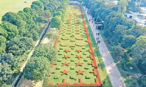 Punjab Horticulture Authority notifies new rules to protect trees