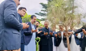 Weekly plantation drives to begin in Islamabad next month
