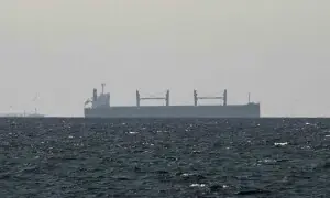 DPM Dar says Iran has allowed &lsquo;20 more ships&rsquo; under Pakistan flag to cross Strait of Hormuz