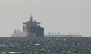 More ships arrive from Hormuz