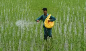 War in Iran and fertiliser security
