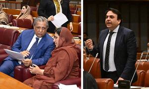 Bill to extend NAB chief&rsquo;s term becomes law in a day