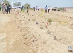 Miyawaki forest project launched in Rahim Yar Khan
