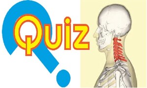 Quiz: The human body