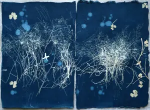 EXHIBITION: NATURE AND MEMORY