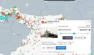 Japan-owned tanker crosses Strait of Hormuz