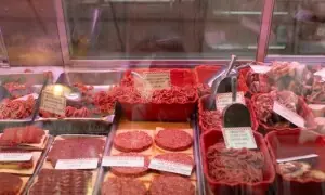 Punjab demands beef export rules