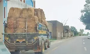 KP lawmakers demand tax on tobacco transportation to other provinces