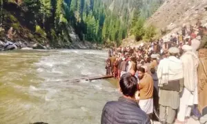 Gujranwala Wasa Managing Director removed after minor twins drown in pond