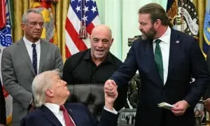 Trump signs order to accelerate access to psychedelics