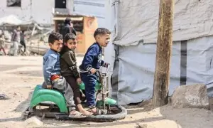 Rats, fleas plague Gaza&rsquo;s displaced as temperatures rise