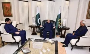 Zardari stresses need for effective governance in Sindh