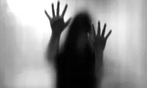 Bus hostess &lsquo;raped&rsquo; in Rawalpindi