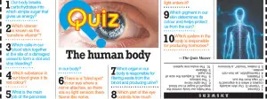 Quiz: The human body