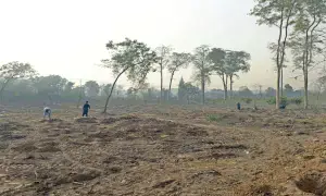 Lawmakers raise voice over tree felling in South Waziristan