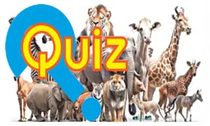 Quiz: Animal Superpower