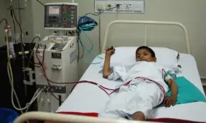 40pc children in seven cities have lead in their blood, study finds