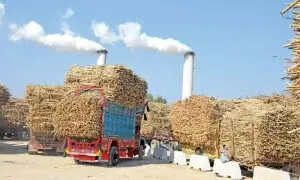 A closer look at the sugar policy
