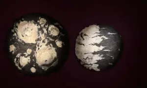 Exhibition What the Mountains Hide connects two millennia of human history through felt and wool