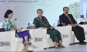 &lsquo;Rising temperatures turn disasters into persistent structural challenges&rsquo;