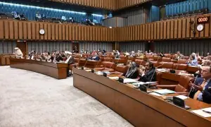 Senate lauds courage, sacrifices of armed forces