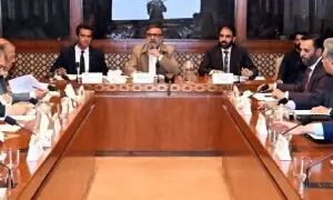 Senate body to look into PMDC matters