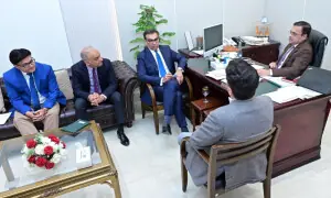 Govt places Public Private Partnership Authority under Privatisation Division for &lsquo;better coordination&rsquo;