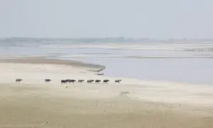 Water crisis beyond scarcity