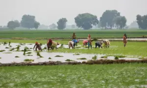 Punjab set to launch land-lease scheme amid concerns