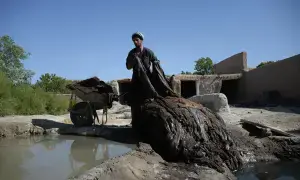 Leather exporters flag high costs