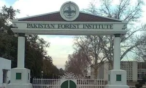 KP reaches out to Centre over &lsquo;forcible&rsquo; takeover of Pakistan Forest Institute field station by Punjab