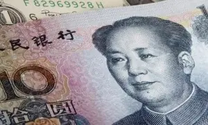 Situationer: Panda Bond: financial breathing space or catalyst for reform?