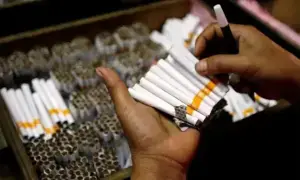 Global surplus hits tobacco exports