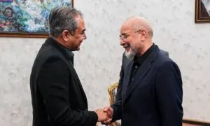 Naqvi meets Iran's parliament speaker Ghalibaf on Iran visit