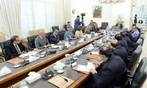 Govt reaffirms Gulf ties, regional peace push