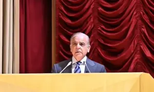 Pakistan a net regional stabiliser contributing to peace in the region and beyond: PM Shehbaz