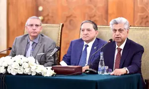 PPP leaders say ‘premature’ to comment on 28th Amendment