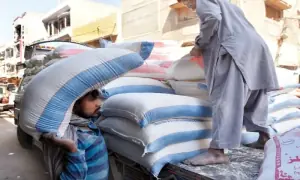 Flour millers in twin cities accuse Punjab govt of discrimination