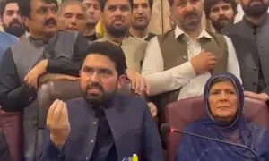 Afridi, Aleema claim shots were fired at Adiala sit-in participants