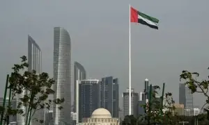 UAE deportations issue referred to Senate panel