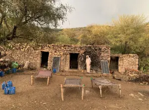 A &lsquo;solitary yet content&rsquo; life in a Chakwal forest