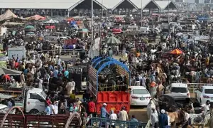 Cattle markets in KP witness brisk trade activity ahead of Eid Cattle markets in KP witness brisk trade activity ahead of Eid