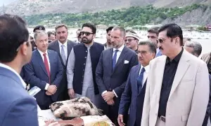 Prince Aga Khan assures KP CM Sohail Afridi of investment in the province