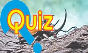 Quiz: Fields of study
