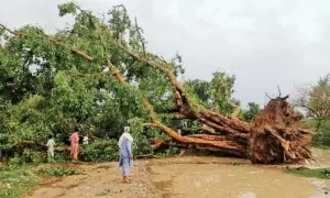 At least 20 injured as violent storm damages homes, buildings in KP's Bannu