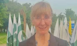 Germany and Pakistan strongly oppose proxy warfare: ambassador