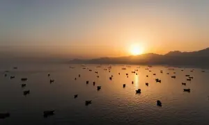 EU diplomatic arm proposes naval mission take 'primary role' in clearing Strait of Hormuz mines