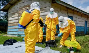 Ebola had 'big head-start' but response catching up: WHO