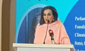 Sherry urges greater investment in women-led climate action