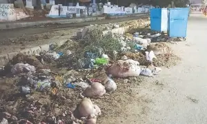 Week after Eid, Karachi still endures stench of decaying offal